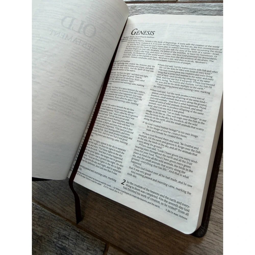 New Living Translation Tyndale House Holy Bible Gift Award NLT Leather Like Used